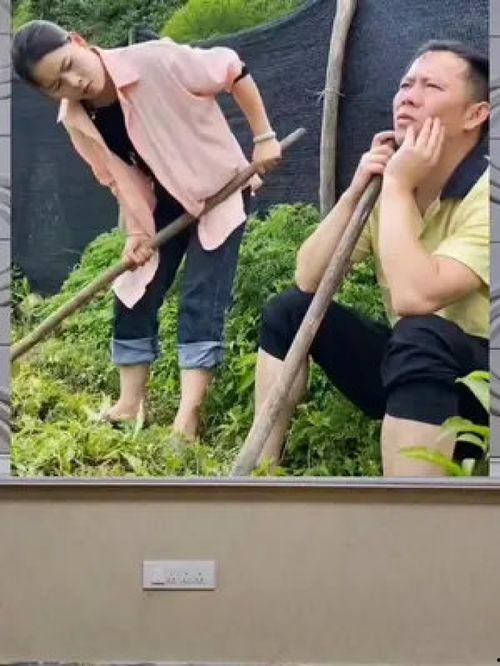 吃瓜的群众 娱乐八卦